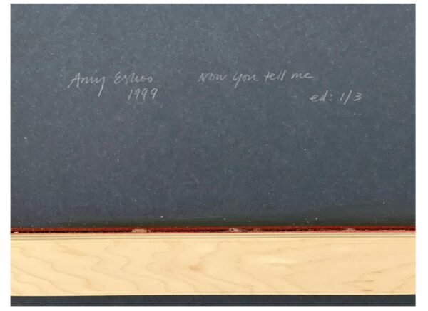 Amy Eshoo, "Now You Tell Me", Ed. 1/3, Signed Photographic Print