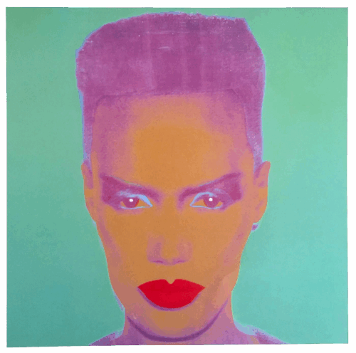 Andy Warhol Foundation Vintage 1993 Collector's Lithograph Pop Art Print " Grace Jones " 1986