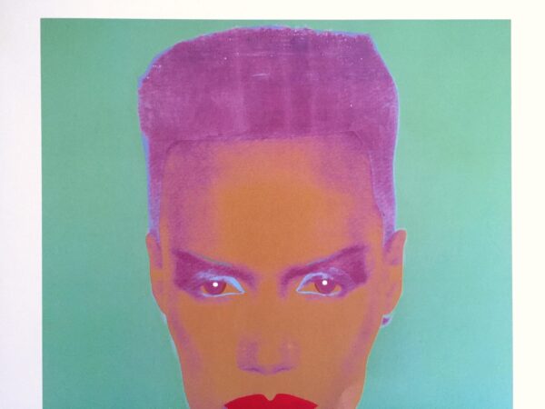 Andy Warhol Foundation Vintage 1993 Collector's Lithograph Pop Art Print " Grace Jones " 1986 Andy Warhol Foundation Vintage 1993 Collector's Lithograph Pop Art Print " Grace Jones " 1986