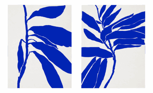 Contemporary Minimalist Botanical Giclee Prints - a Pair