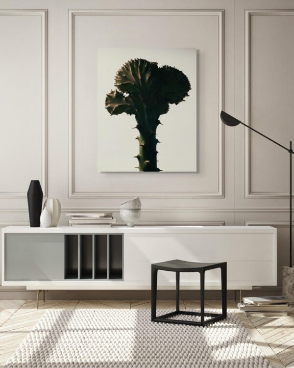 Euphorbia Lactea by Oscar Calleja – Limited Edition Still Life Photography | Framed Metal Print, Ready to Hang Euphorbia Lactea by Oscar Calleja – Limited Edition Still Life Photography | Framed Metal Print, Ready to Hang