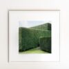 "Hedge #10" Contemporary Original Landscape Photograph by Carol Erb