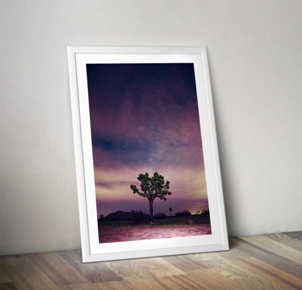 Meteor Shower Over Mojave Desert Original Photograph