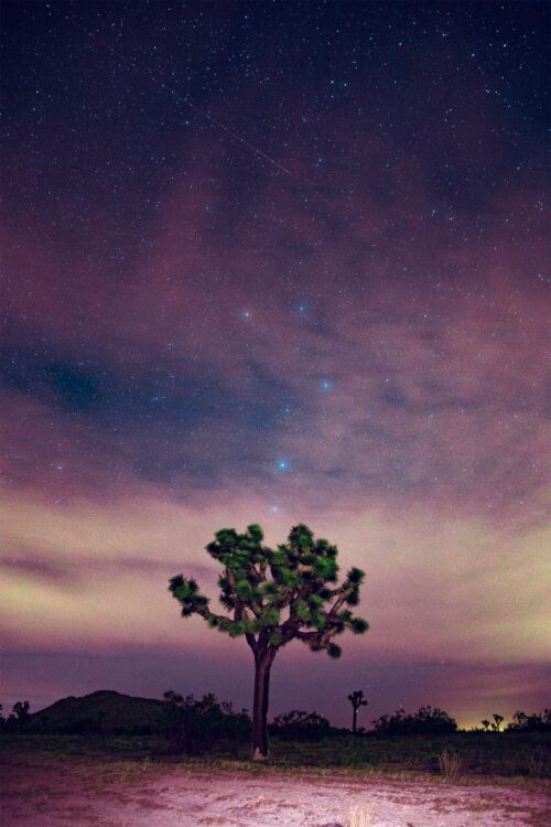 Meteor Shower Over Mojave Desert Original Photograph