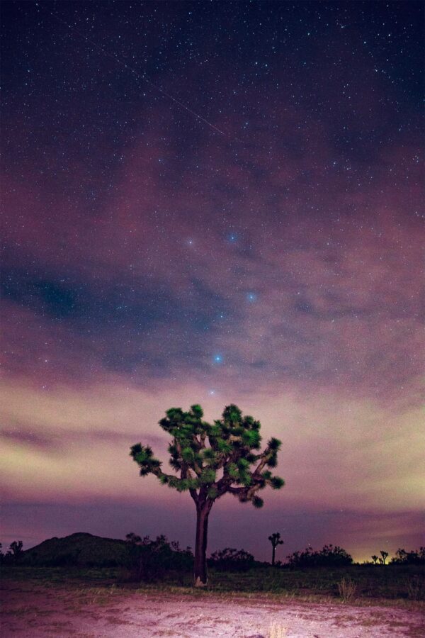 Meteor Shower Over Mojave Desert Original Photograph