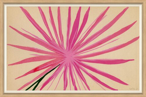 Native Framed Art Print