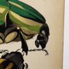 Original Seguy Insect From 1924 Antique Pochoir Plate #12