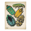 Original Seguy Insect From 1924 Antique Pochoir Plate #12