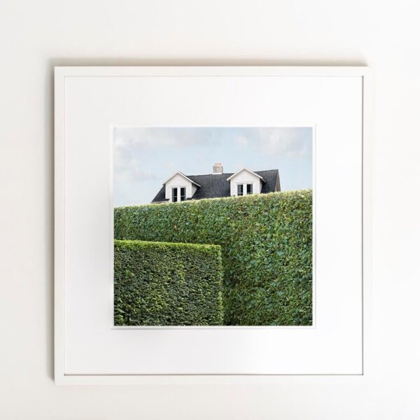 "Privacy #3" Contemporary Landscape Photograph on Paper by Carol Erb