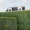 "Privacy #3" Contemporary Landscape Photograph on Paper by Carol Erb