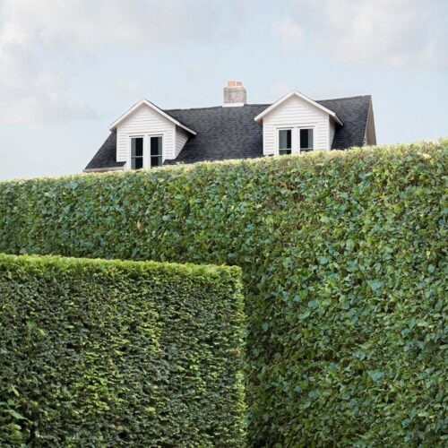 "Privacy #3" Contemporary Landscape Photograph on Paper by Carol Erb