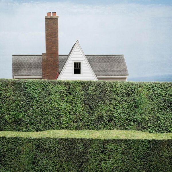 "Privacy #4" Contemporary Landscape Photograph by Carol Erb