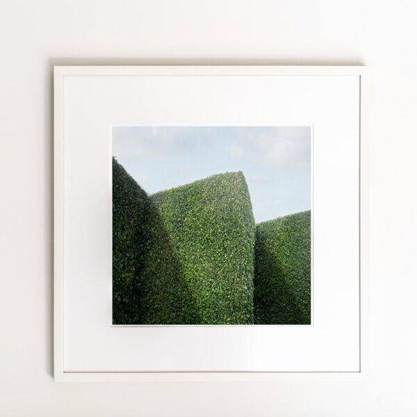 "Serrated" Contemporary Landscape Photograph by Carol Erb