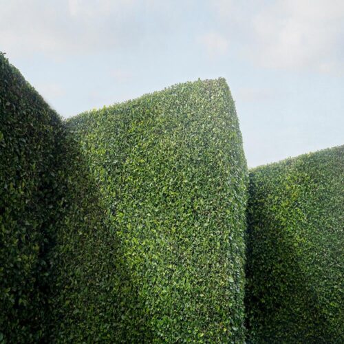 "Serrated" Contemporary Landscape Photograph by Carol Erb