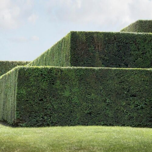 "Step Pyramid" Contemporary Landscape Photograph by Carol Erb