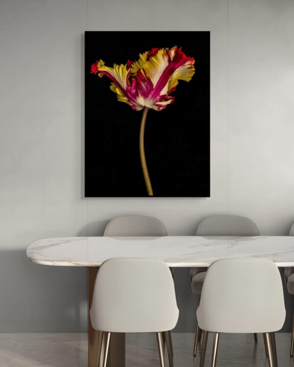 Tulipa IV by Dale Grant – Limited Edition Fine Art Print | Yellow Tulip, Signed & Unframed