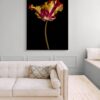Tulipa IV by Dale Grant – Limited Edition Fine Art Print | Yellow Tulip, Signed & Unframed