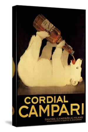 Cordial Campari - Polar Bear - Canvas Print Wall Art, 12x18