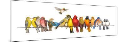 Large Bird Menagerie - Wood-Mounted Wall Art Print, 36x12