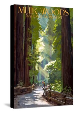 Muir Woods National Monument, California - Pathway - Canvas Print Wall Art, 12x18