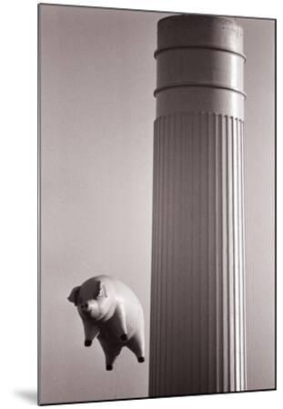 Pink Floyd- Flying Pig - Wood-Mounted Wall Art Print, 23x33