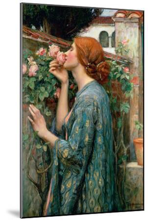The Soul of the Rose, 1908 - Wood-Mounted Wall Art Print, 12x18